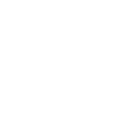 Instant Torch Logo